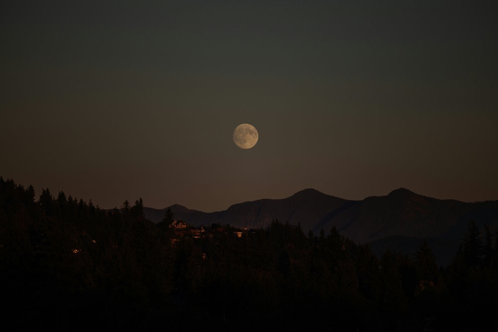 Pleine lune du ver s'élevant au-dessus d'une forêt et des arbres à l'aube du printemps